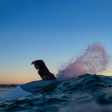 Firewire Seaside Helium construction