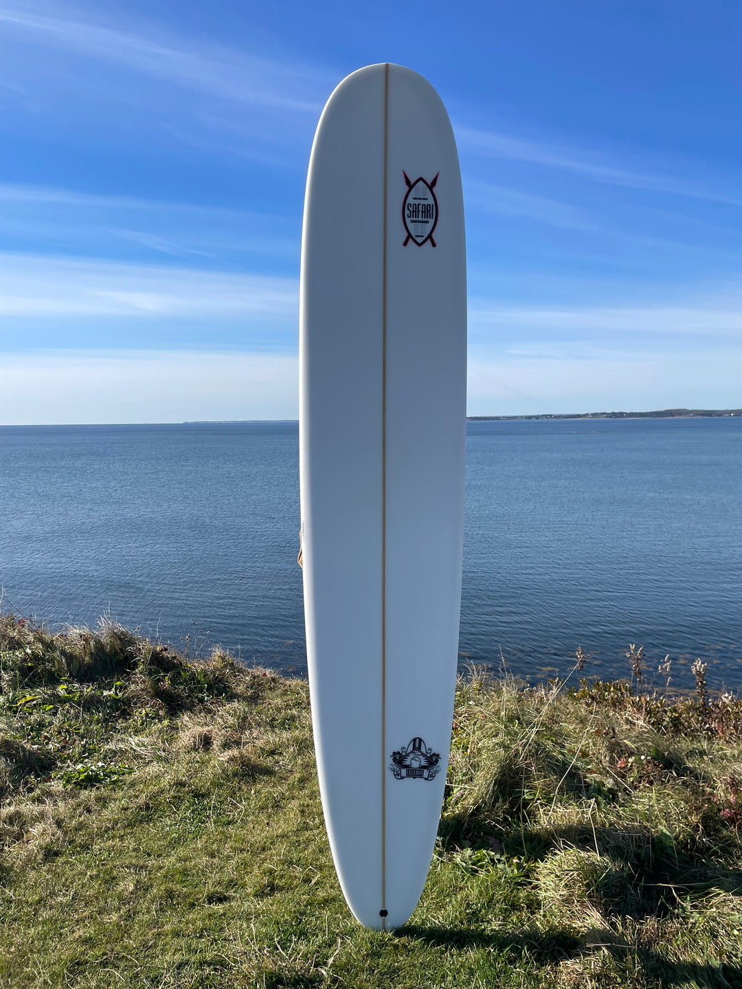 Shop online Spider Surfboards - On Sale! | kannonbeach