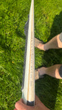 USED Firewire seaside 5'5
