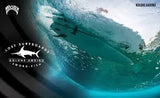 Lost Swordfish 6'0