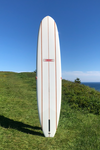 Gordon and Smith Retro Red Fin 9'6