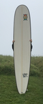 Buy Canadian Goose Torq Surfboard from kannonbeach
